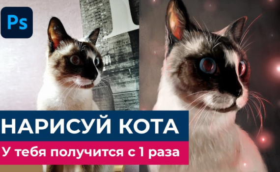 Нарисовать кота в Фотошоп